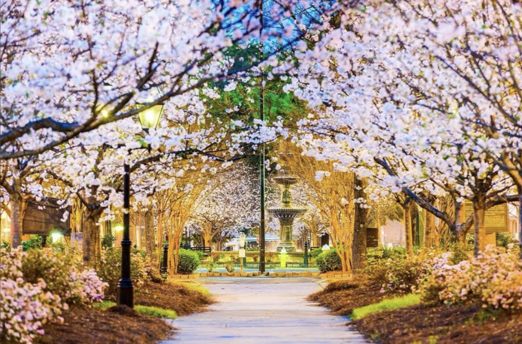 rv camping at festivals and events near byron georgia