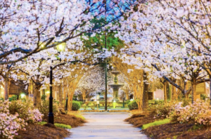 rv camping at festivals and events near byron georgia