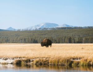 Yellowstone vacation top RV destination